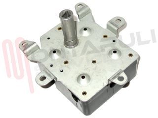Immagine di MOTORIDUTTORE GIRARROSTO 110/220V