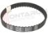 Immagine di CINGHIA DENTATA 100XL037