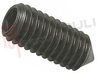 Immagine di VITE GRANO 20X8MM. TIPO GRANDE