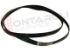 Immagine di CINGHIA RIGHI 8 STRETTI CM.55,5 1181/1187 H8EL MAEL