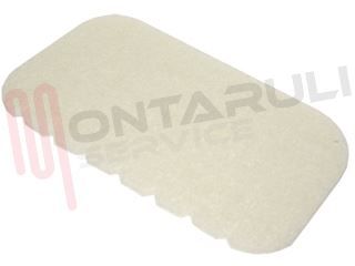 Immagine di FILTRO MOTORE DOLPHIN Z3829 Z3870 CF.1PZ