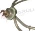 Immagine di RESISTENZA CIRCOLARE 2500W 1/4'' INDUSTRIALE Ø250MM.