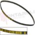 Immagine di CINGHIA DENTATA 260XL175 L= 32,5CM.