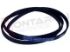 Immagine di CINGHIA RIGHI 4 MEDIO 1244MM. 1244J4 EL
