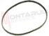 Immagine di CINGHIA DENTATA S3M519 EX. 80S3M519