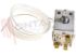 Immagine di TERMOSTATO A130218 BULBO 1000 MM(C.POST)