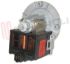 Immagine di POMPA SCARICO ASKOLL 30W 220-240V