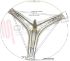 Immagine di CROCIERA CESTO 42CM 6203+6205 ASSE 88MM
