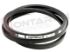 Immagine di CINGHIA 3L481/3LX1208EL TEM CM.58