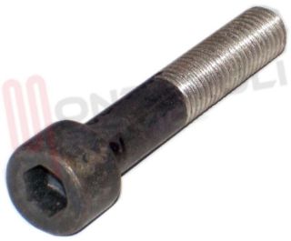 Immagine di BULLONE LUNGO FERMACESTO M10X65