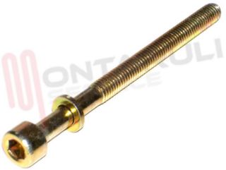 Immagine di VITE M6X80 PER FASCETTA ANELLO COPERCHIO VASCA