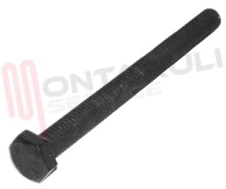 Immagine di VITE PERNO FERMACESTO M6X74