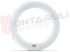 Immagine di TUBO FLUORESCENTE CIRCOLARE 22W/865 6500K LUCE FREDDA