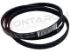 Immagine di CINGHIA RIGHI 4 LARGHI CM.56 1207 4PJE 481235818204