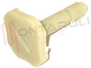 Immagine di VITE PLASTICA PER FILTRO