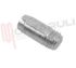 Immagine di PERNO PER CERNIERA M6X13MM. SKME1650