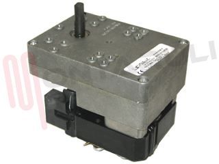 Immagine di MOTORIDUTTORE GIRARROSTO 230V R5/F004