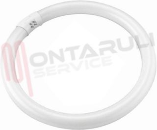 Immagine di TUBO FLUORESCENTE CIRCOLARE 32W 6500K G10Q LUCE FREDDA