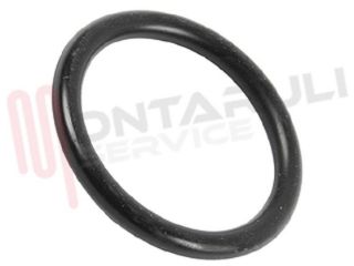 Immagine di O-RING TUBO RAMPA