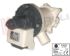 Immagine di POMPA SCARICO 34W 240V 25072019