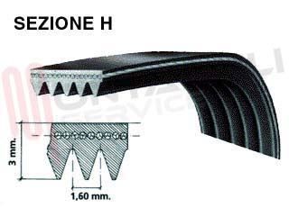 Immagine di CINGHIA RIGHI 8 STRETTI CM.54,5 EL1185 H8 EL