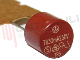Immagine di FUSIBILE T630MA250V