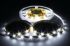 Immagine di STRISCIA LUMINOSA BIAN-FRE 150 LED SMD5050 5MT. 12VDC IP20 S
