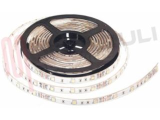 Immagine di STRISCIA LUMINOSA BIAN-FRE 150 LED SMD5050 5MT. 12VDC IP65 C