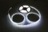 Immagine di STRISCIA LUMINOSA BIAN-FRE 150 LED SMD5050 5MT. 12VDC IP65 C