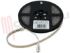Immagine di STRISCIA LUMINOSA BLU 150 LED SMD5050 5 MT. 12VDC IP65 S