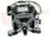 Immagine di MOTORE A COLLETTORE 850-1000 GIRI'LVB2000