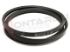 Immagine di CINGHIA 3L550 EX. 3L554