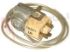 Immagine di TERMOSTATO T8LG277 THOMSON EX. ATEA A130015 L=800