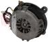 Immagine di MOTORE FORNO VENTILATO 220-240V LAINOX LAR65041000