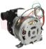 Immagine di MOTOPOMPA LAVAGGIO AP 5800/2013 1HP