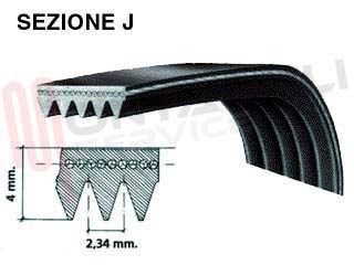 Immagine di CINGHIA RIGHI 5 MEDIO CM.55,5 1180 J5